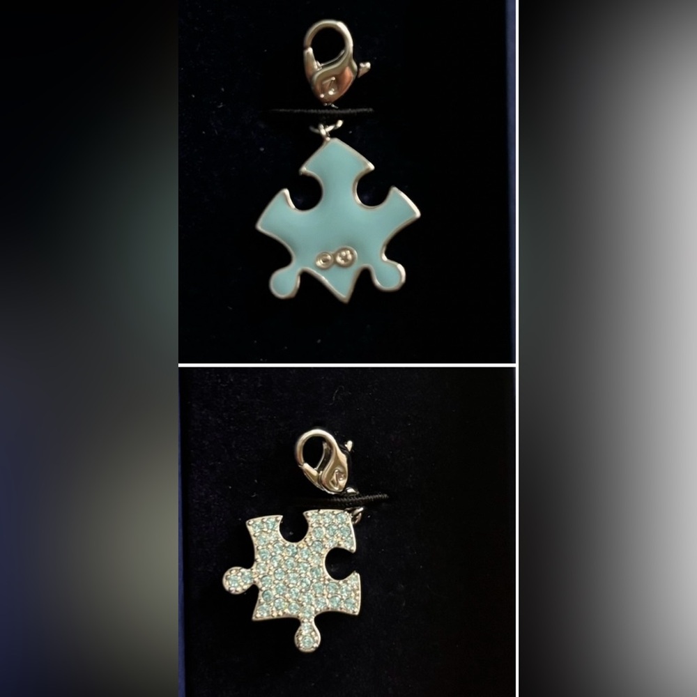 Swarovski Aqua Puzzle Charm